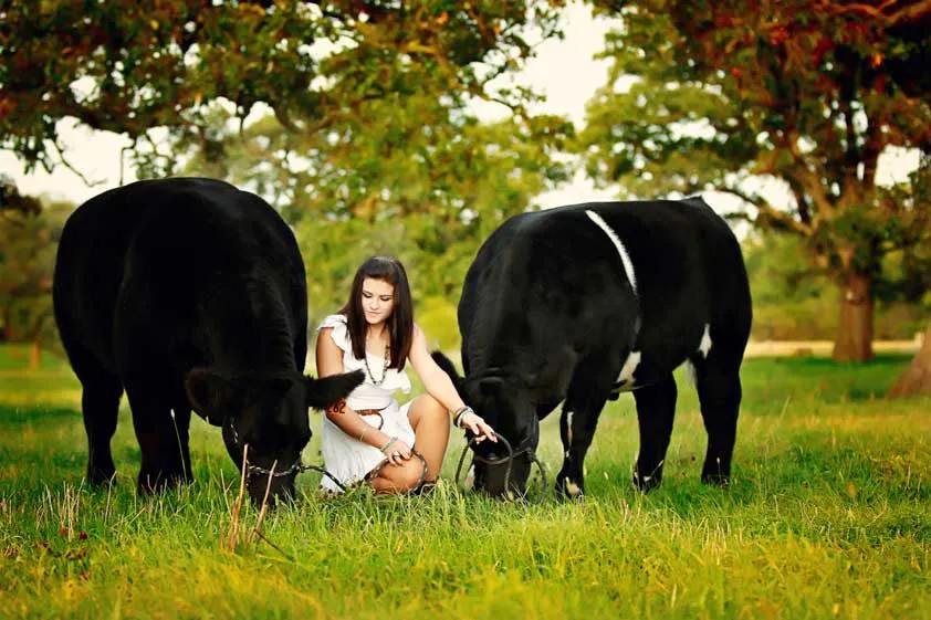 4-H